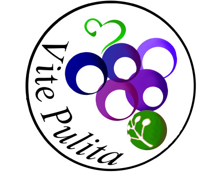 servizi_vite-pulita-logo-450x350.jpg